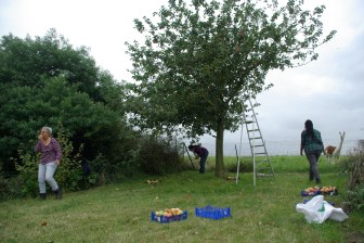 cueillette chez Justine 09-17