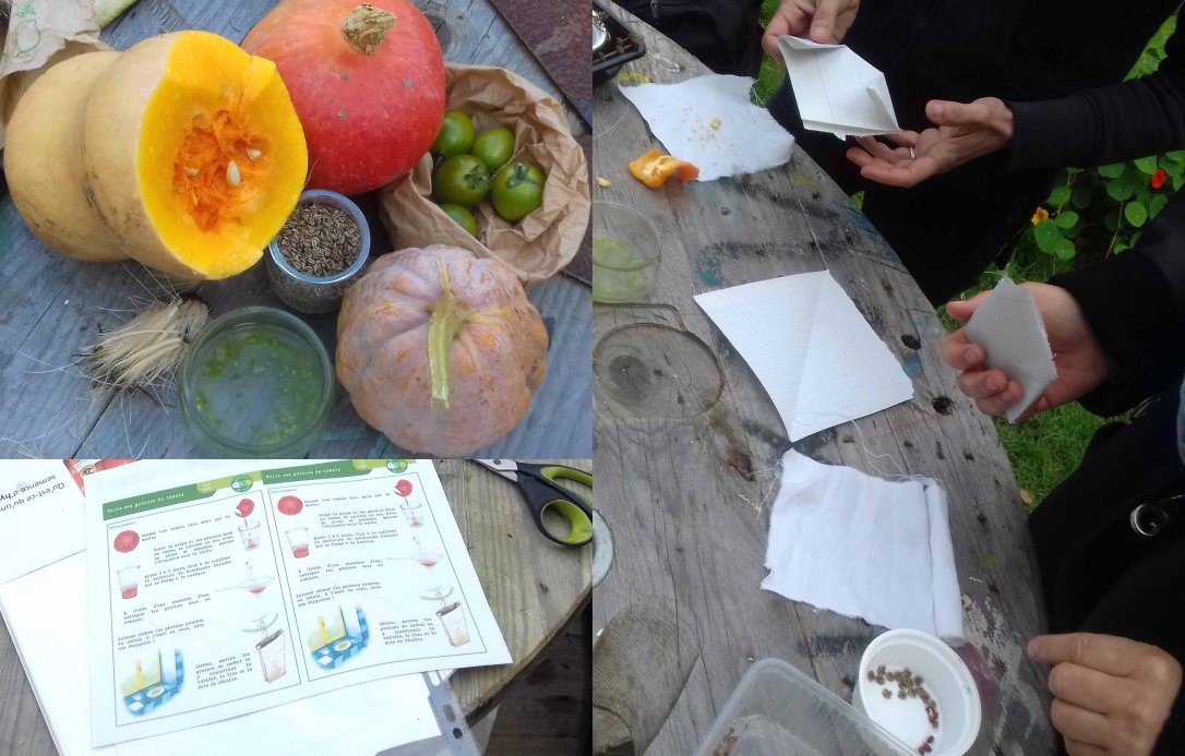 formation-graines2017