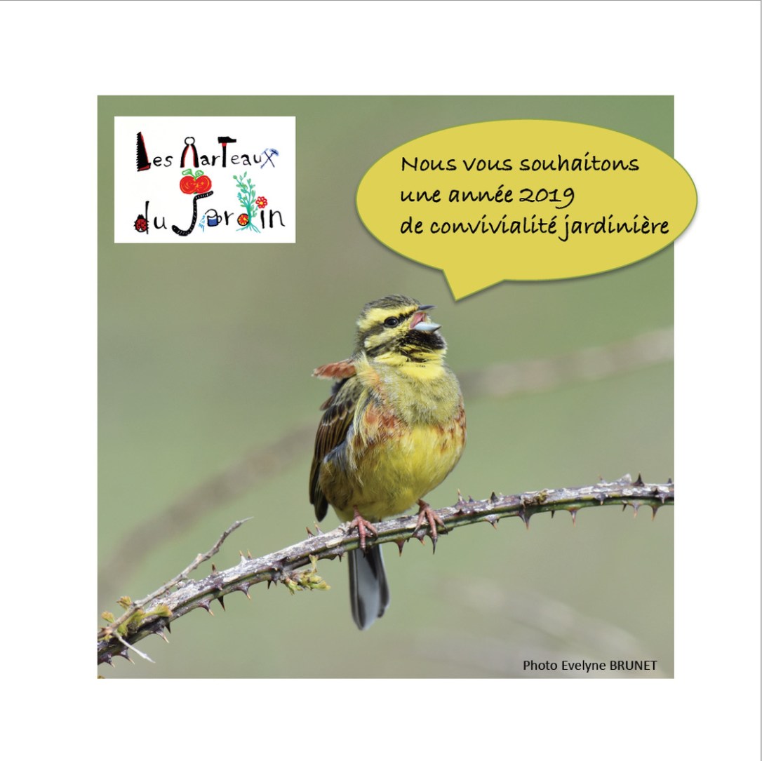 carte vœux Les marteaux